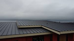 Professional Roofing service in Bass Lake, IN